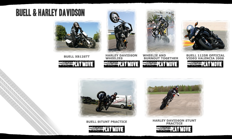 buell and harley davidson